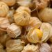 A detailed close-up photograph of fresh gooseberries wrapped in their natural husks, highlighting texture and detail.